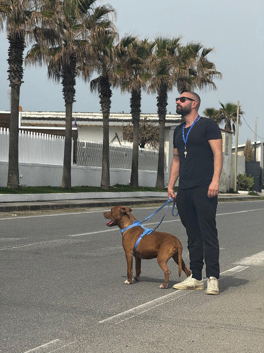 Pettorina Ergonomica Antifuga H EasyFit Azzurra