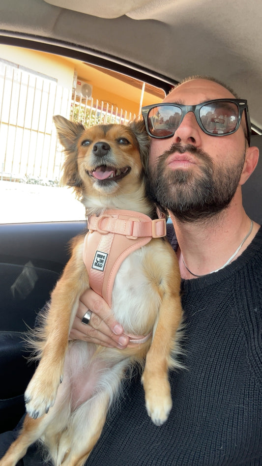 Pettorina Ergonomica Antifuga H EasyFit Rosa