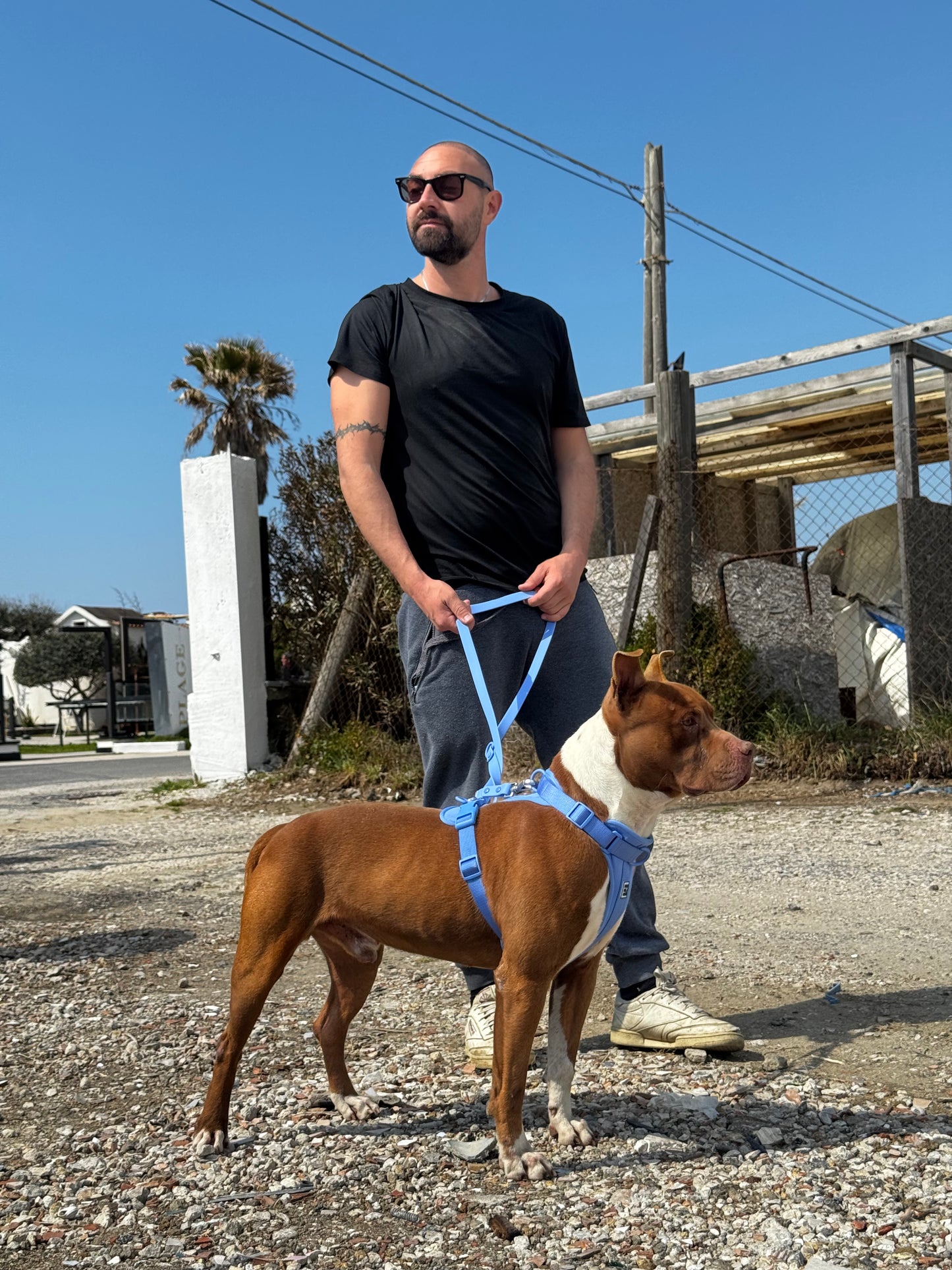 Pettorina Ergonomica Antifuga H EasyFit Azzurra