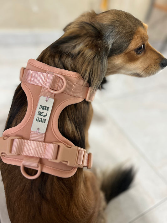 Set Pettorina + Guinzaglio in PVC rosa – Antifuga, Lavabile e Super Colorato