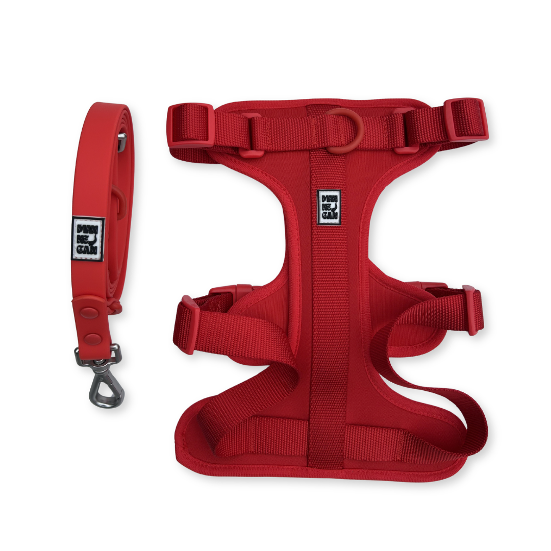 Collare in pvc safeclean rosso