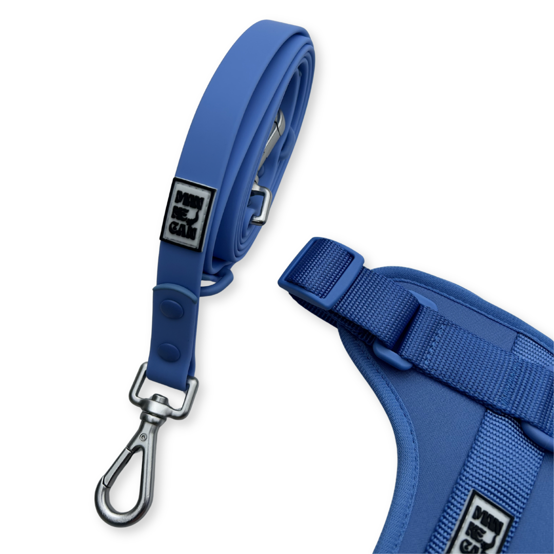 Guinzaglio in pvc ultraresist azzurro
