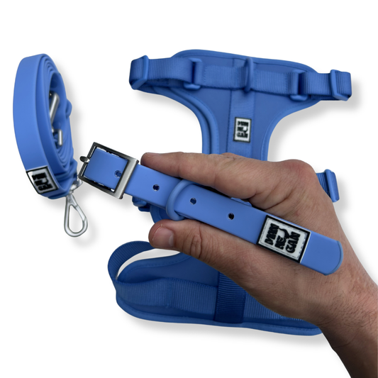 Collare in pvc safeclean azzurro