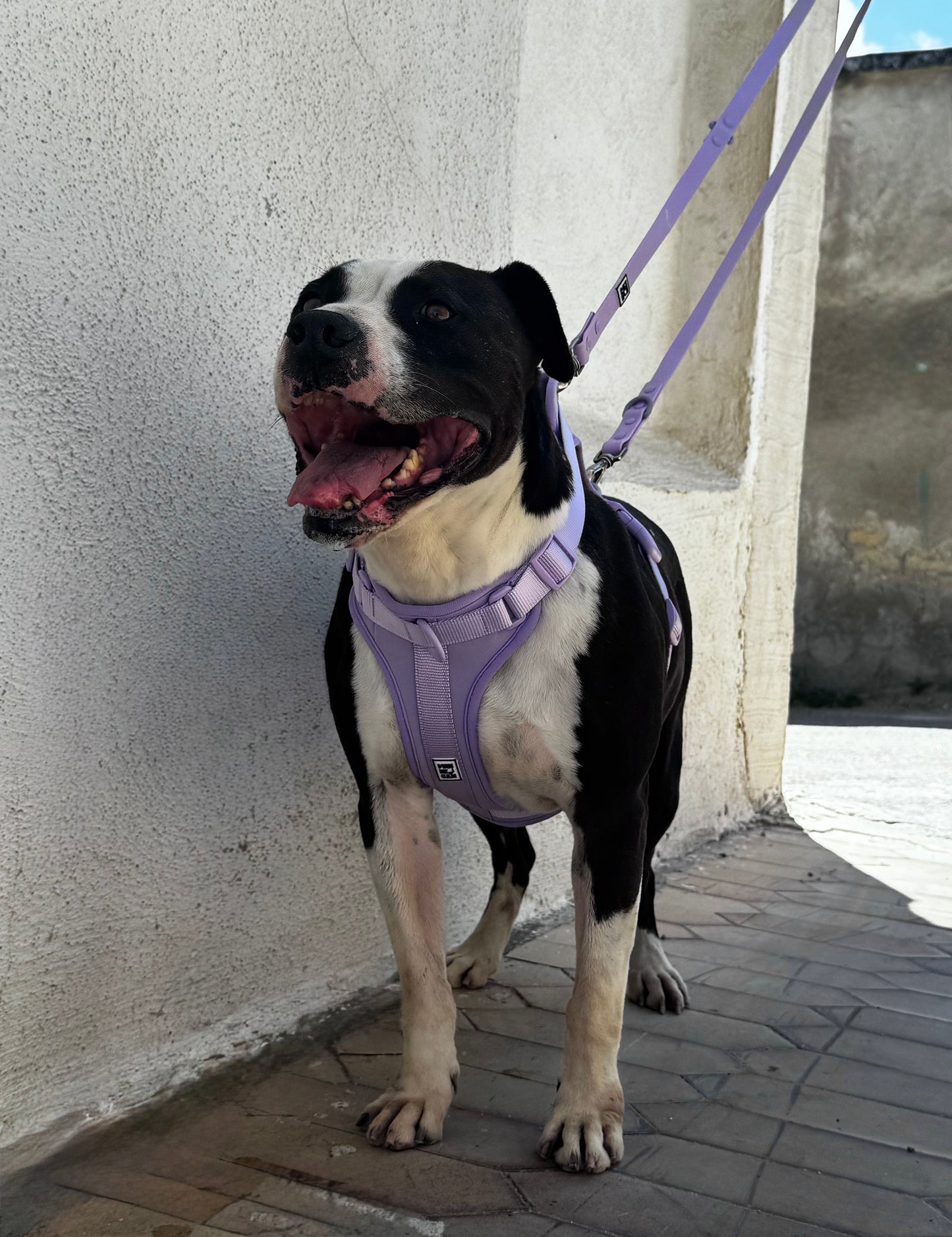 Guinzaglio in pvc ultraresist lilla