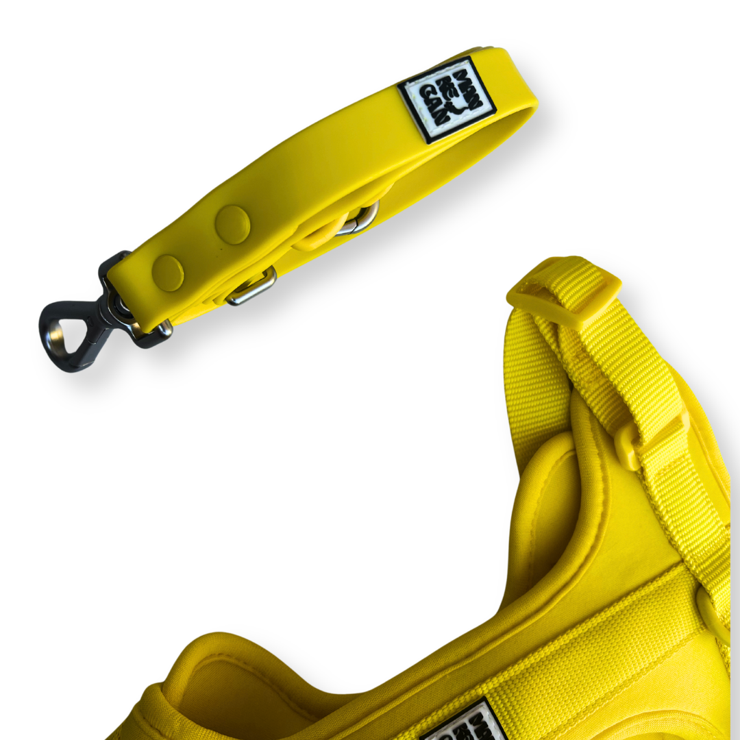 Collare in pvc safeclean giallo