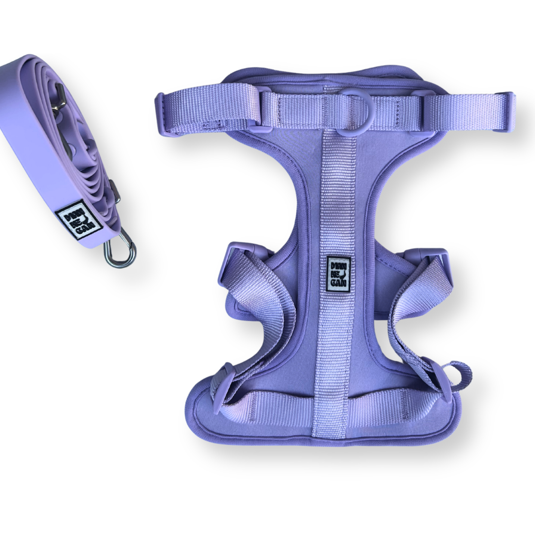Pettorina Ergonomica Antifuga H EasyFit Lilla