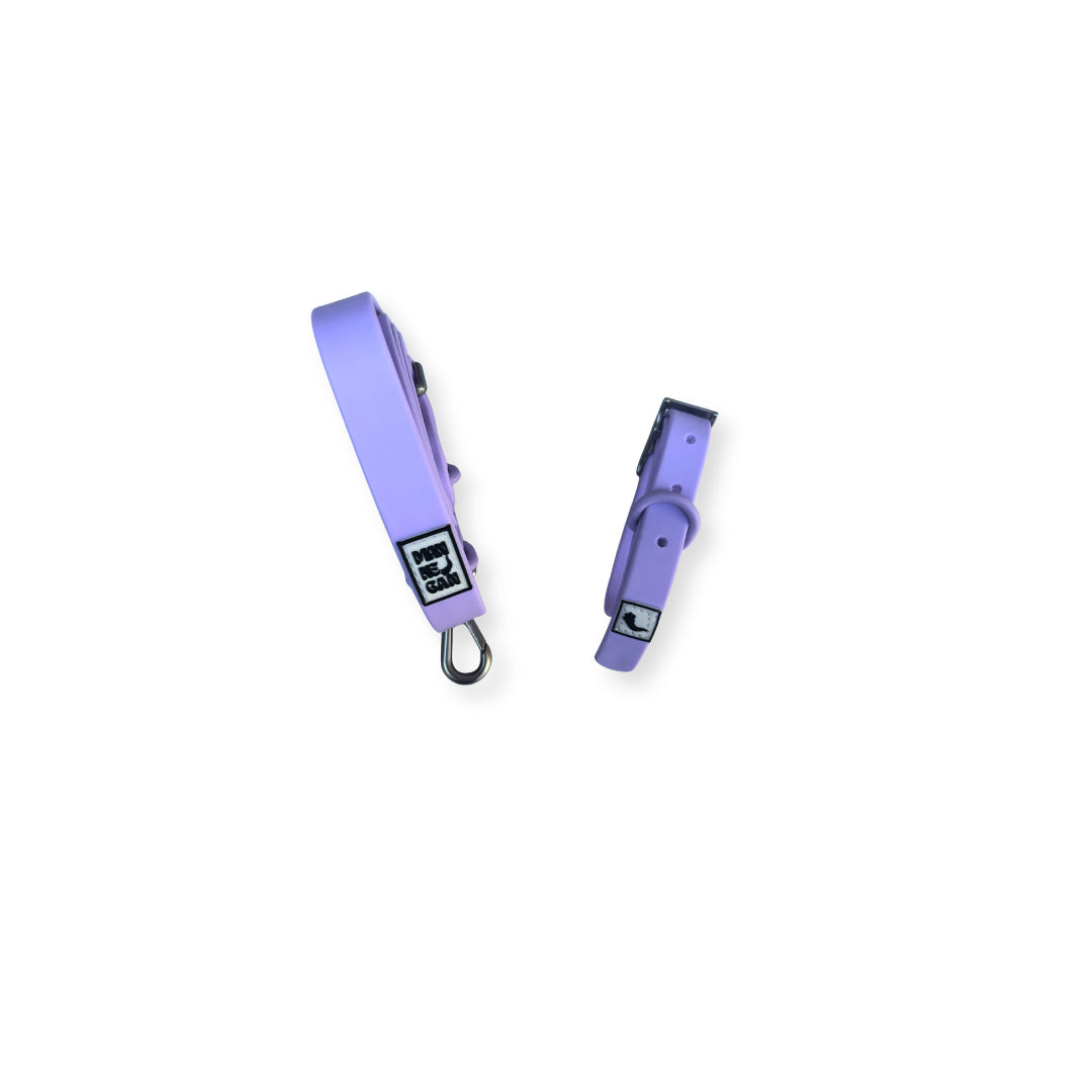 Collare in pvc safeclean lilla