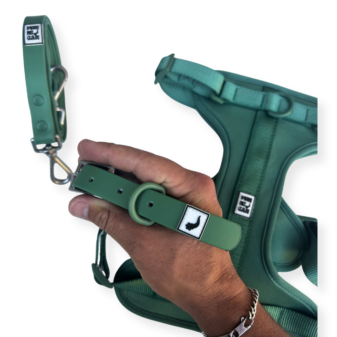 Collare in pvc safeclean verde