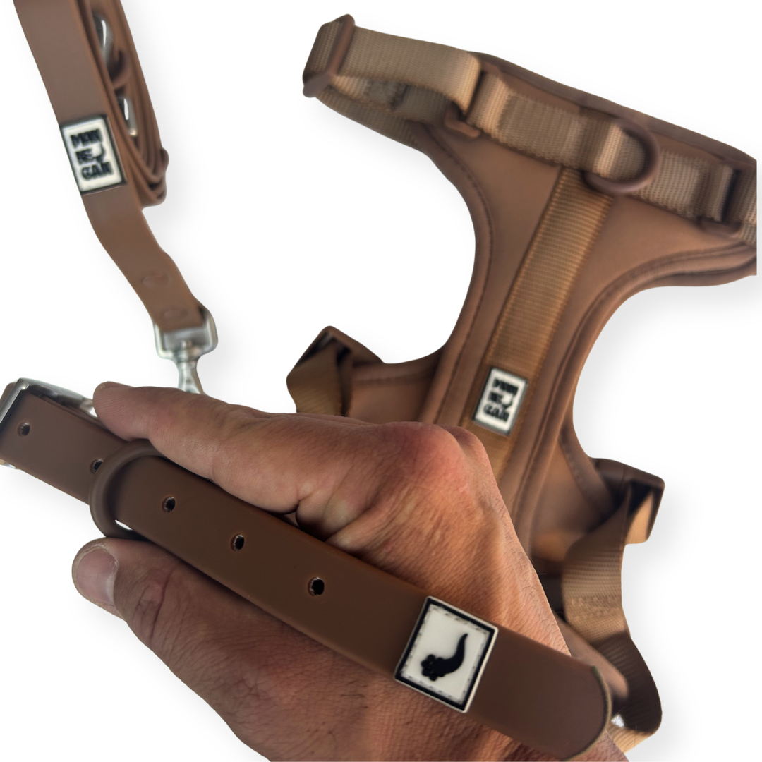 Collare in pvc safeclean bronzo