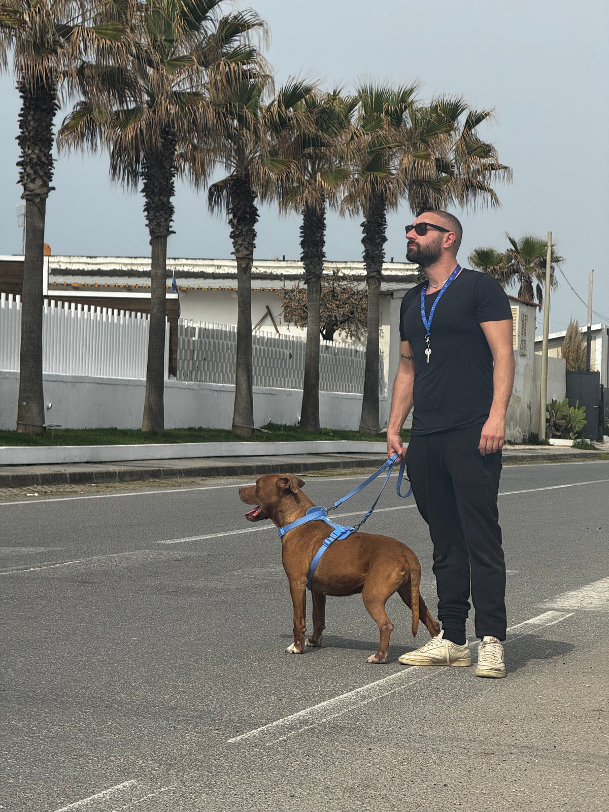 Pettorina Ergonomica Antifuga H EasyFit Azzurra