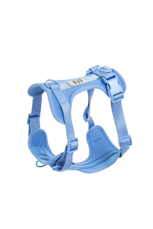 Pettorina azzurra antifuga per Cani – Sicura, Regolabile, Comoda e Colorata