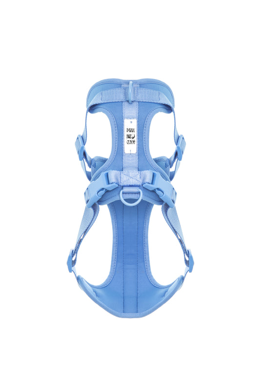 Pettorina azzurra antifuga per Cani – Sicura, Regolabile, Comoda e Colorata