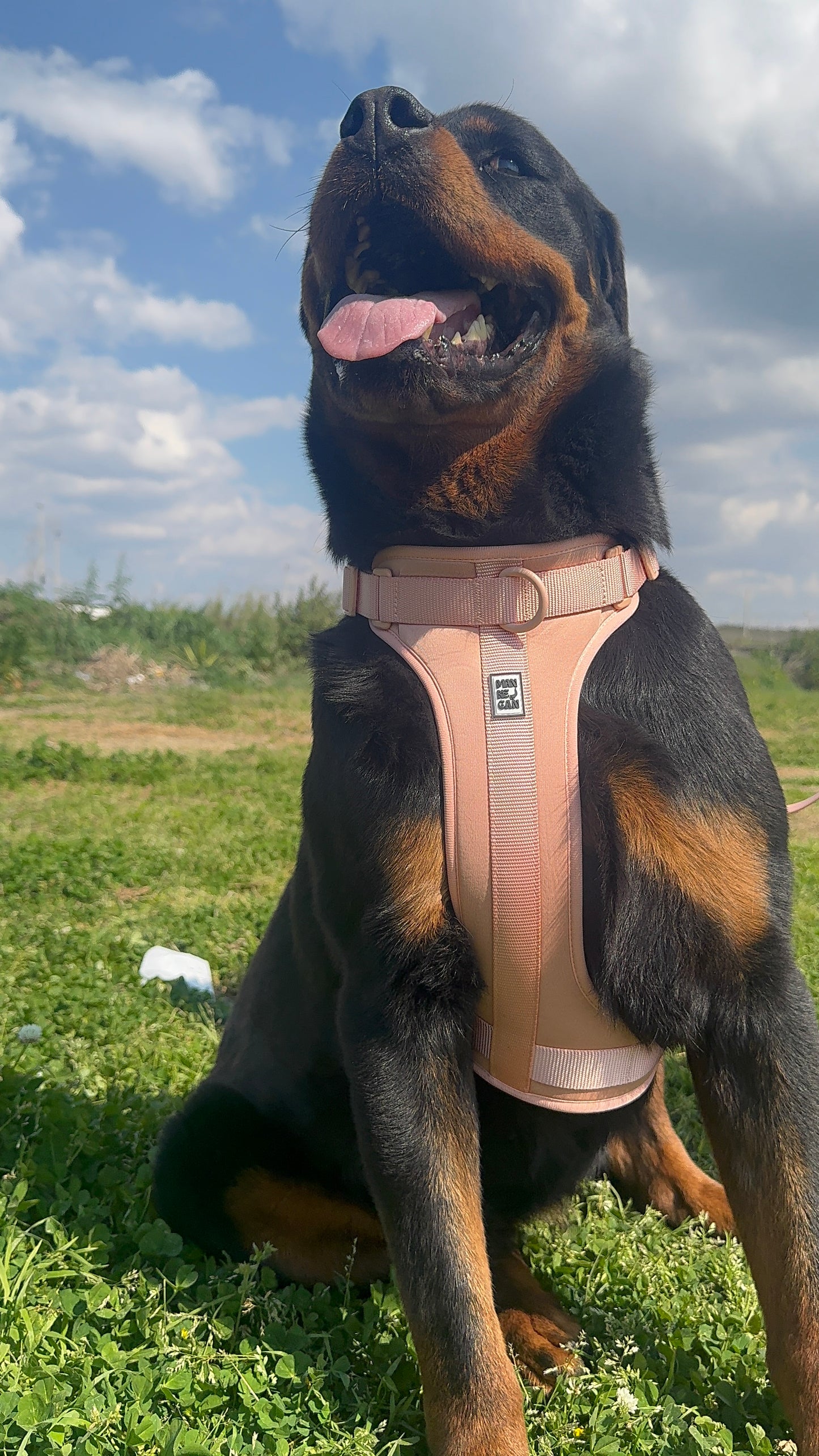 Pettorina Ergonomica Antifuga H EasyFit Rosa