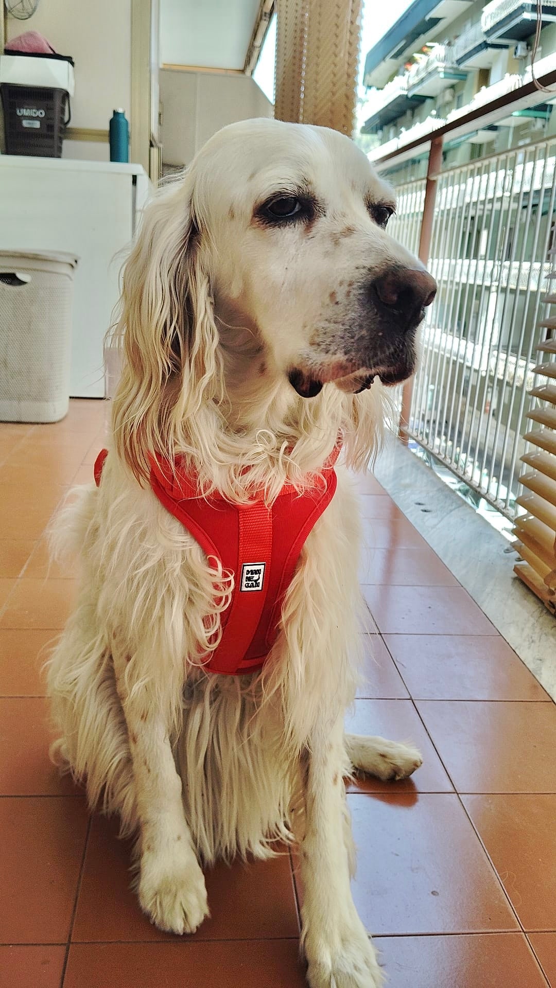Pettorina Ergonomica Antifuga H EasyFit Rossa