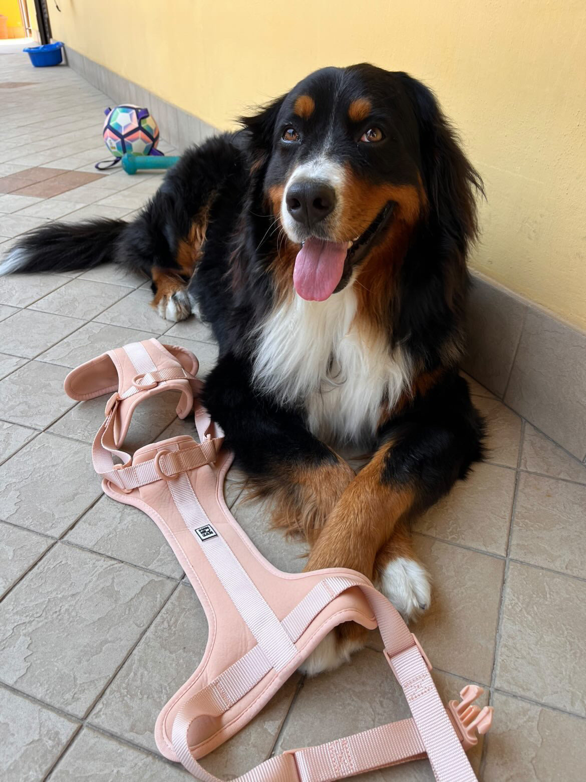 Pettorina Ergonomica Antifuga H EasyFit Rosa