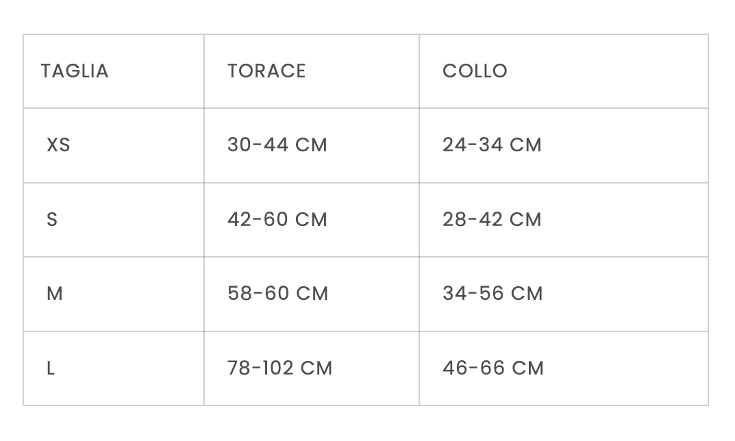Set Completo: Pettorina, Guinzaglio e Collare  azzurro in PVC – Sicurezza, Comfort e Stile a Prova di Passeggiata