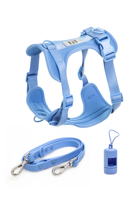 Set Pettorina + Guinzaglio in PVC azzurro – Antifuga, Lavabile e Super Colorato